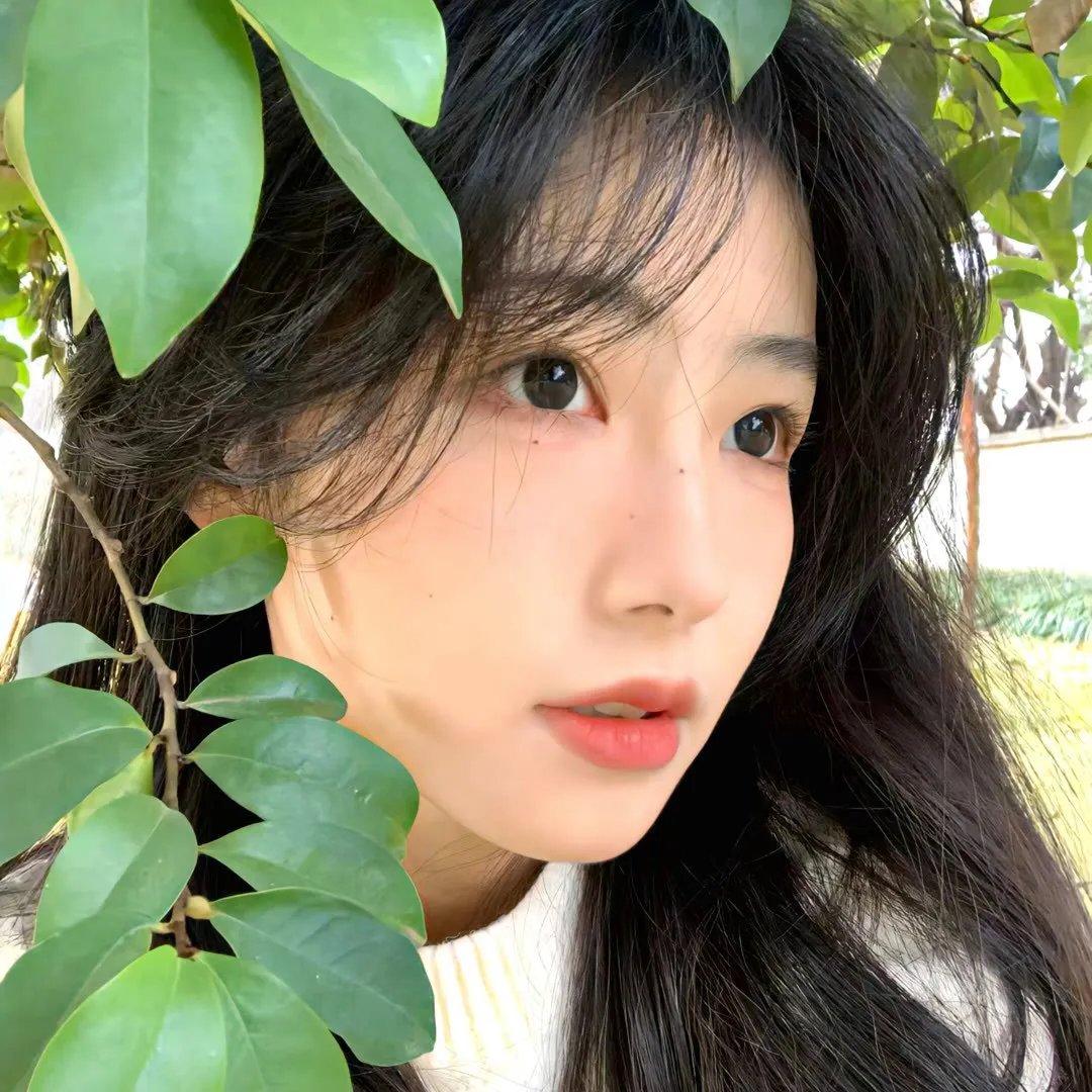 大冬瓜粤语